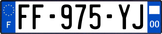 FF-975-YJ