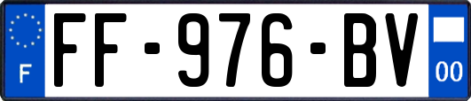 FF-976-BV