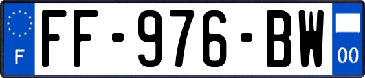 FF-976-BW