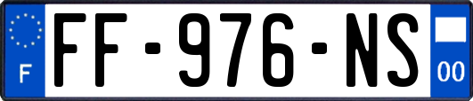 FF-976-NS