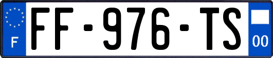 FF-976-TS