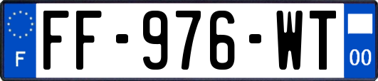 FF-976-WT