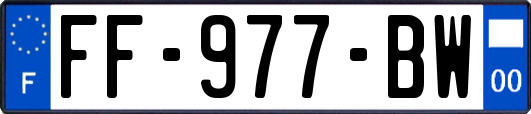 FF-977-BW