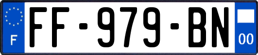 FF-979-BN