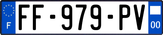 FF-979-PV