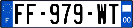 FF-979-WT