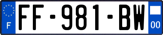 FF-981-BW