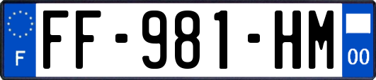 FF-981-HM