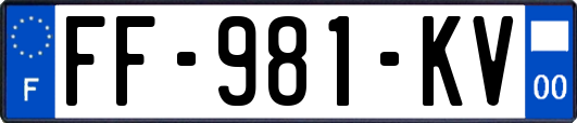 FF-981-KV