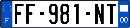 FF-981-NT