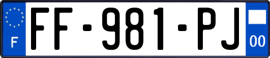 FF-981-PJ