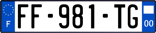 FF-981-TG