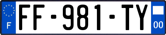 FF-981-TY