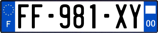 FF-981-XY