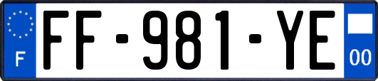 FF-981-YE