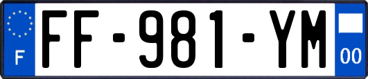 FF-981-YM