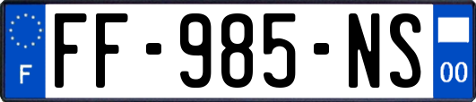 FF-985-NS