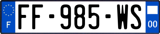 FF-985-WS