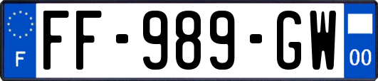 FF-989-GW