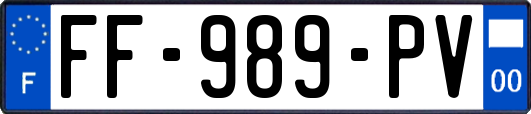 FF-989-PV