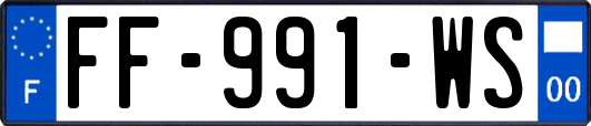 FF-991-WS