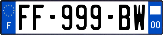 FF-999-BW