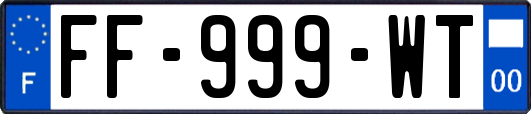 FF-999-WT