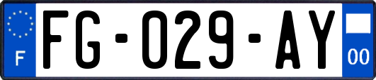 FG-029-AY