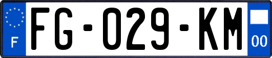 FG-029-KM