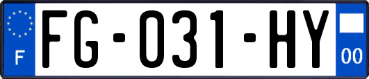 FG-031-HY