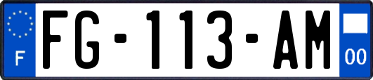 FG-113-AM