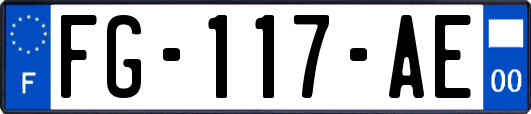 FG-117-AE