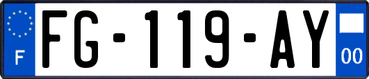 FG-119-AY