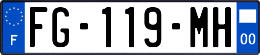 FG-119-MH