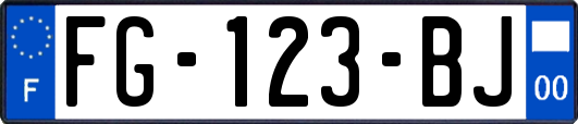 FG-123-BJ