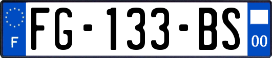 FG-133-BS