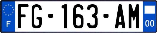 FG-163-AM