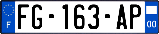 FG-163-AP