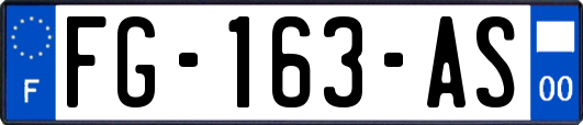 FG-163-AS