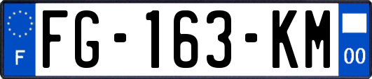 FG-163-KM
