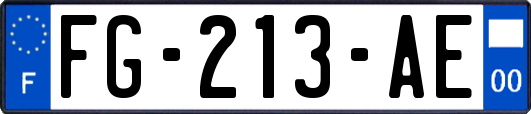 FG-213-AE