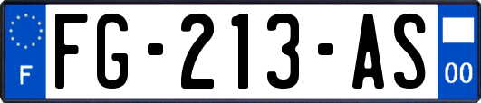 FG-213-AS