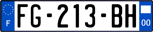 FG-213-BH