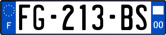 FG-213-BS