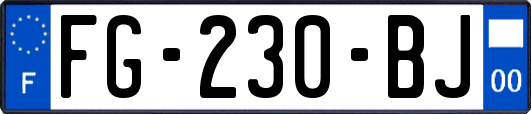 FG-230-BJ