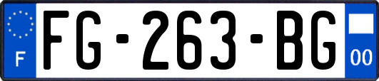 FG-263-BG