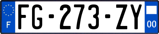 FG-273-ZY