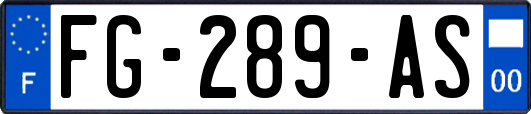 FG-289-AS