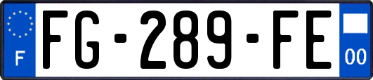 FG-289-FE