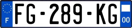 FG-289-KG